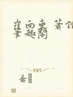 崔向东 萧错 笔趣阁