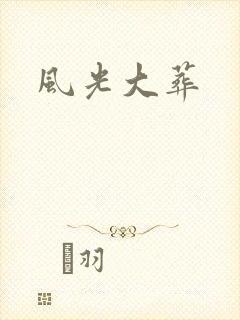 风光大葬封面