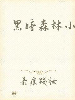 黑暗森林小说