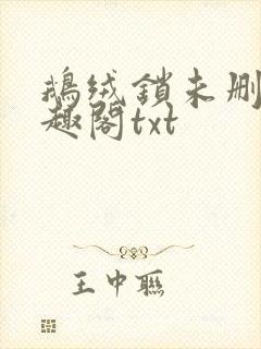 鹅绒锁未删除笔趣阁txt封面