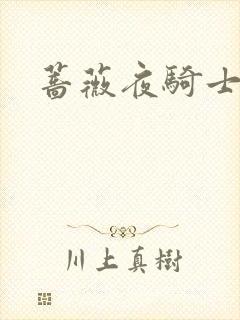 蔷薇夜骑士