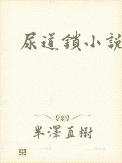 尿道锁小说
