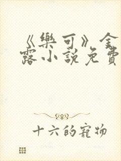 《乐可》金银花露小说免费在线阅读