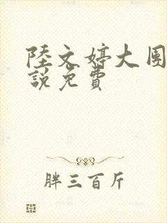 陆文婷大团圆小说免费