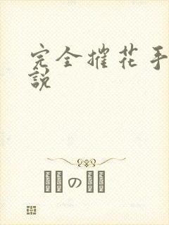 完全摧花手册小说封面