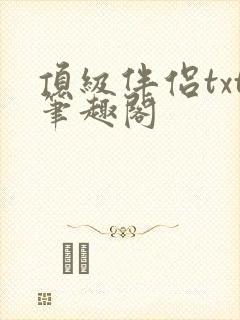 顶级伴侣txt笔趣阁封面