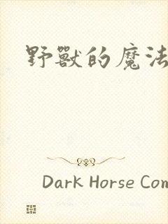 野兽的魔法师