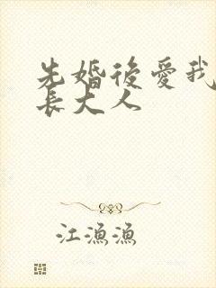 先婚后爱我的市长大人封面