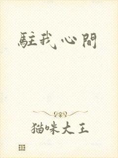 驻我心间封面