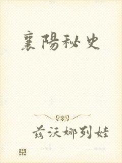 襄阳秘史
