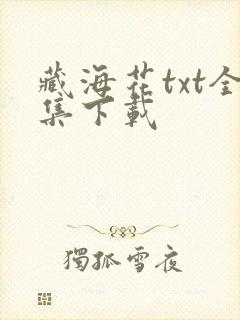 藏海花txt全集下载封面