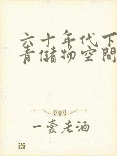 六十年代下乡知青储物空间