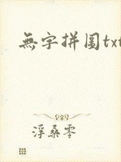 无字拼图txt封面