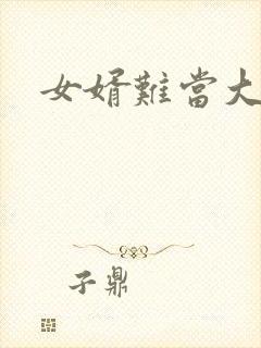 女婿难当大结局