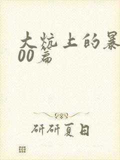大炕上的暴伦500篇封面