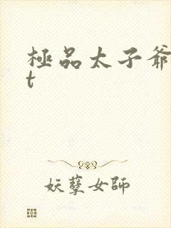 极品太子爷txt