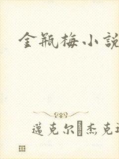 金瓶梅小说