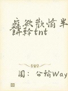 瘾欲欢愉半块小饼干tnt