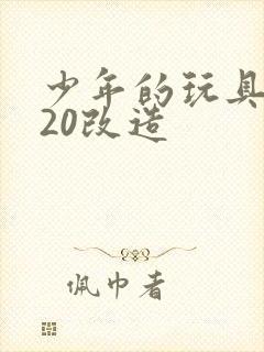 少年的玩具1一20改造