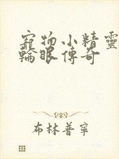 宠物小精灵之写轮眼传奇