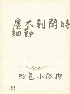 尘不到闻时顶腰细节封面