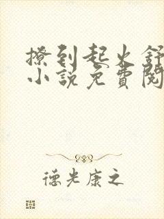 撩到起火舒漾的小说免费阅读全文