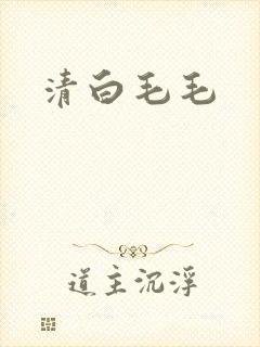 清白毛毛