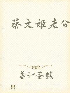 蔡文姬老公