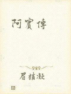阿宾传封面