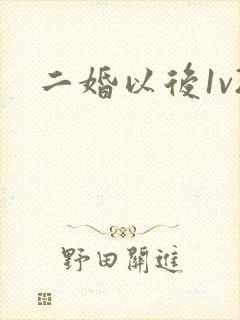 二婚以后1v2封面