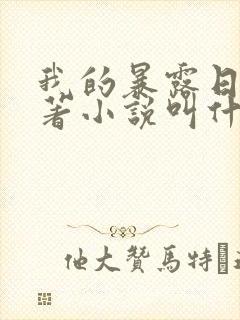 我的暴露日记原著小说叫什么封面