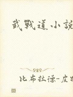 武战道小说