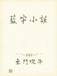 蓝宇小说