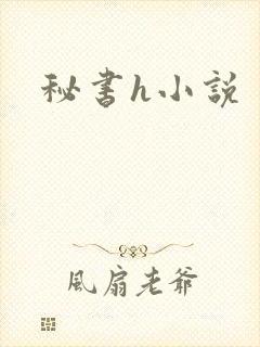 秘书h小说