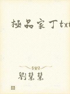 极品家丁txt封面
