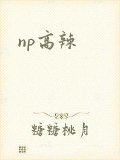 np高辣