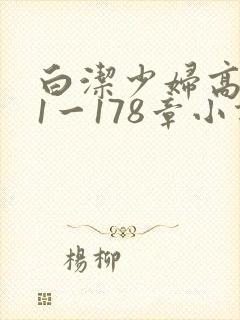 白洁少妇高义第1一178章小说