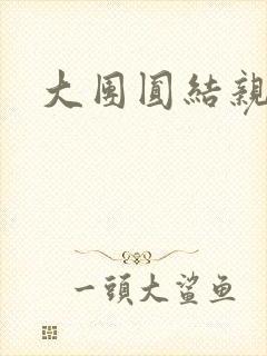 大团圆结亲情会