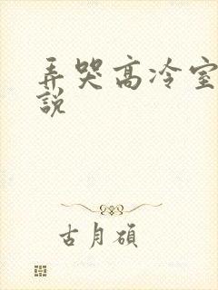 弄哭高冷室友小说