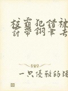 校霸犯错被学霸罚带钢笔去上课封面