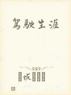驾驶生涯