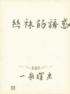 丝袜的诱惑小说