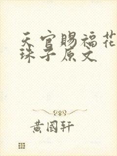 天官赐福花怜塞珠子原文封面
