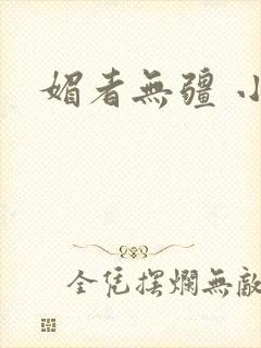 媚者无疆 小说