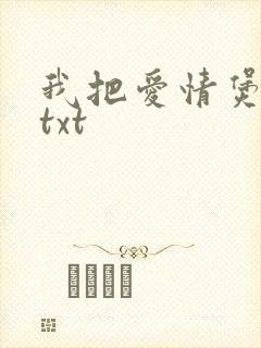 我把爱情煲成汤txt