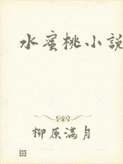 水蜜桃小说