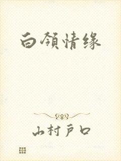 白领情缘