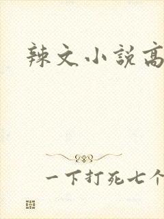 辣文小说高h