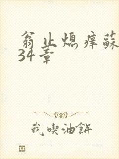 翁止熄痒苏钥第34章