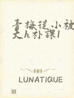 青梅从小被c到大h补课1